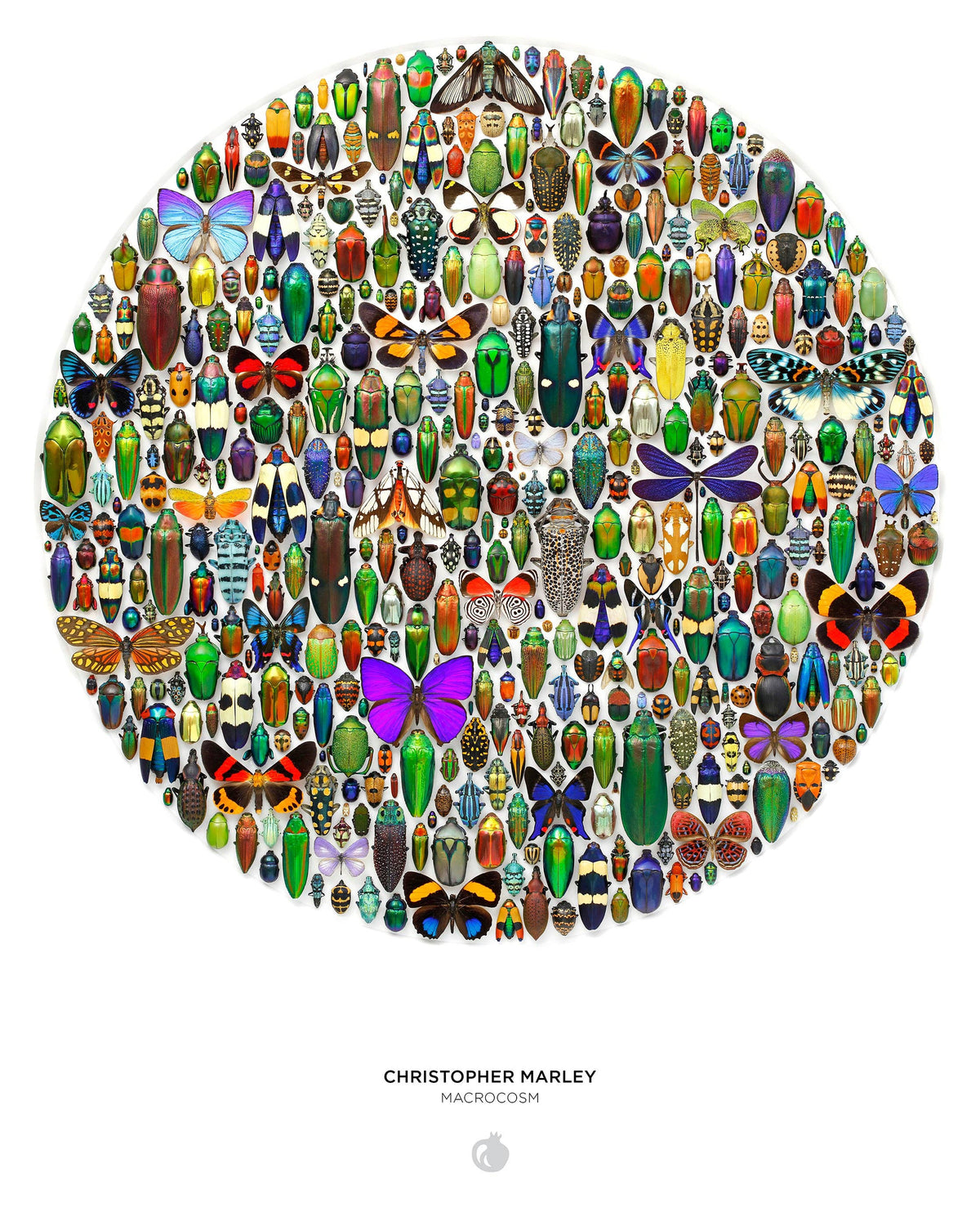 The Christopher Marley: Macrocosm 500pc Circular Puzzle features a circular biophilic art collection of various colorful beetles and butterflies arranged on a white background.