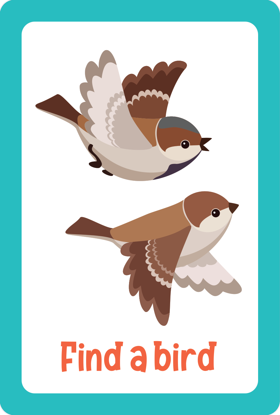 Illustration of two brown and white birds flying with “Find a bird” in orange text below, all inside a turquoise border—ideal for Nature Seek-and-Find Scavenger Hunt Cards or kids’ activity games.