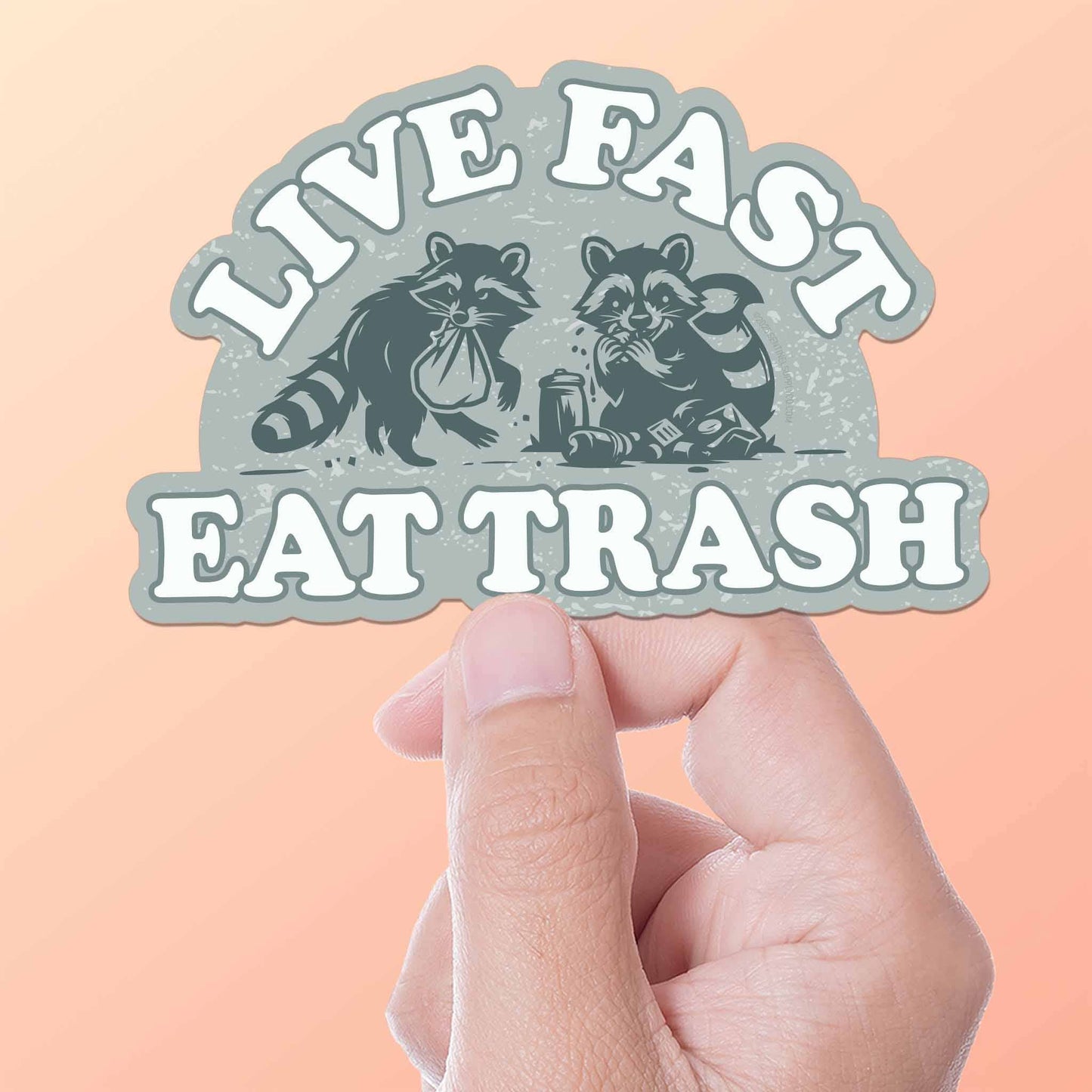 Live Fast Eat Trash Raccoon Sticker