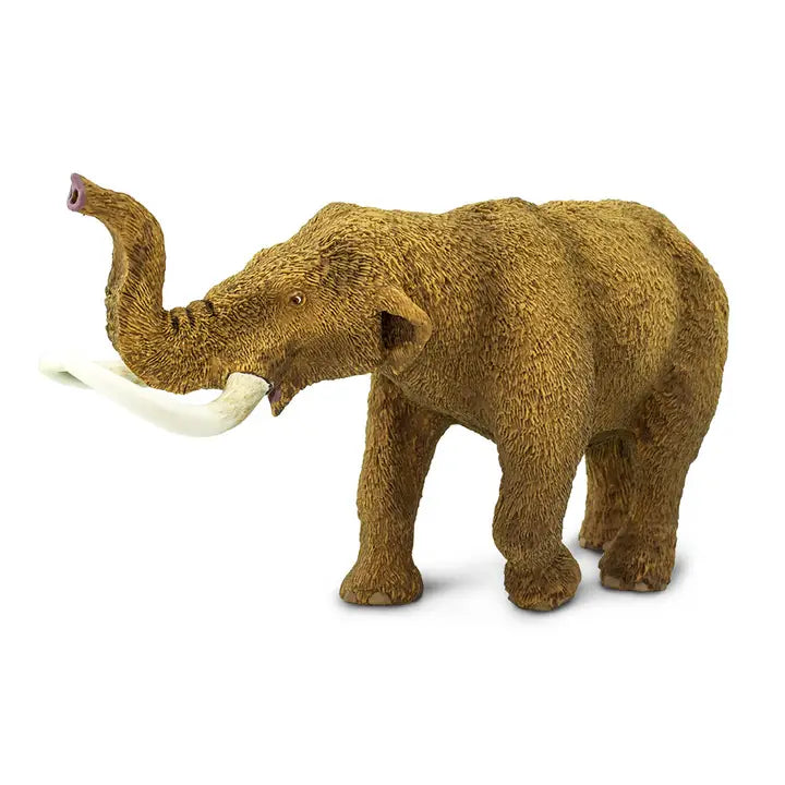 An American Mastodon figurine, featuring brown woolly fur and long white curved tusks, stands with its trunk raised against a plain white background.