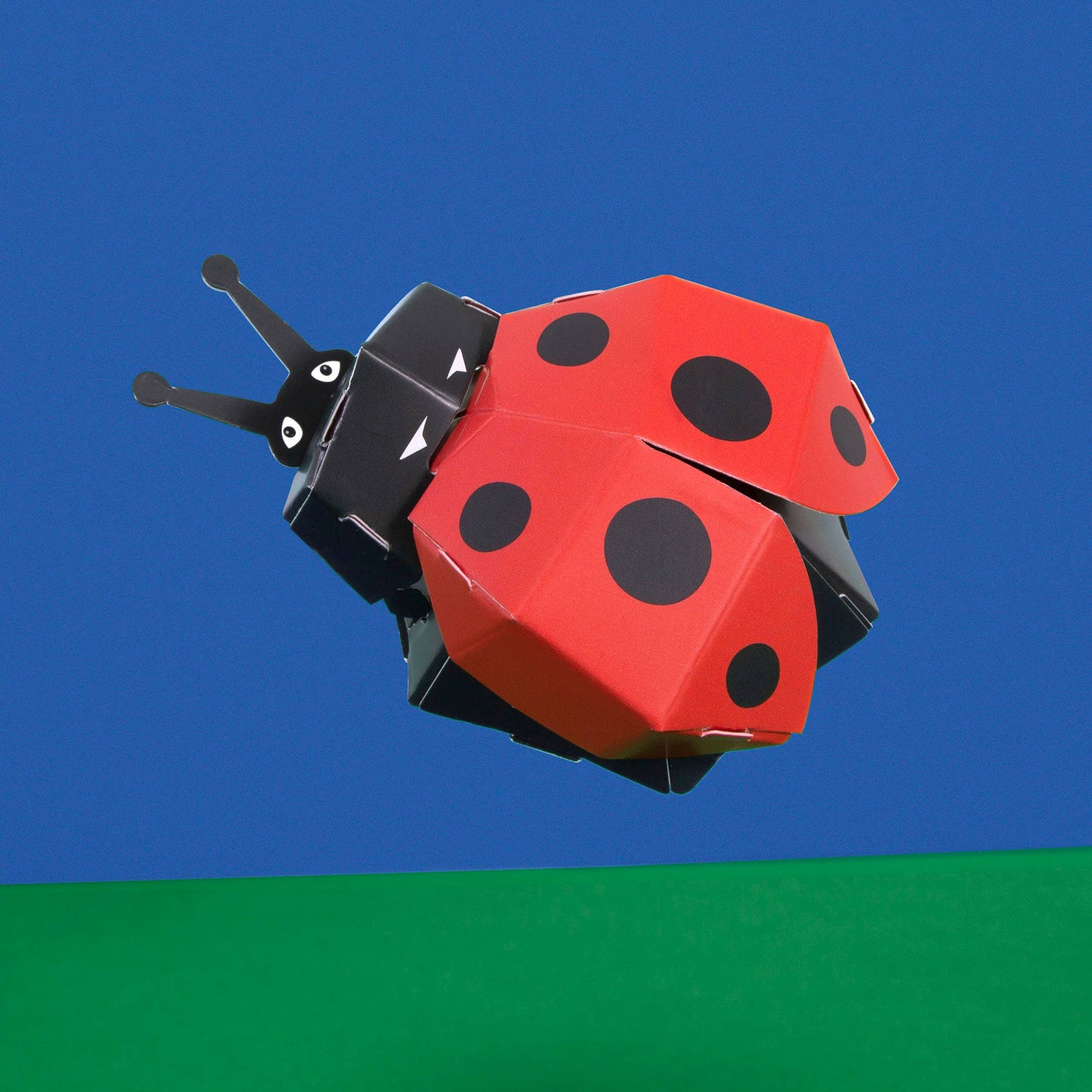 The Create Your Own Lovely Ladybird kit, featuring a paper model with red wings and black spots, is shown against a blue background above a green surface.