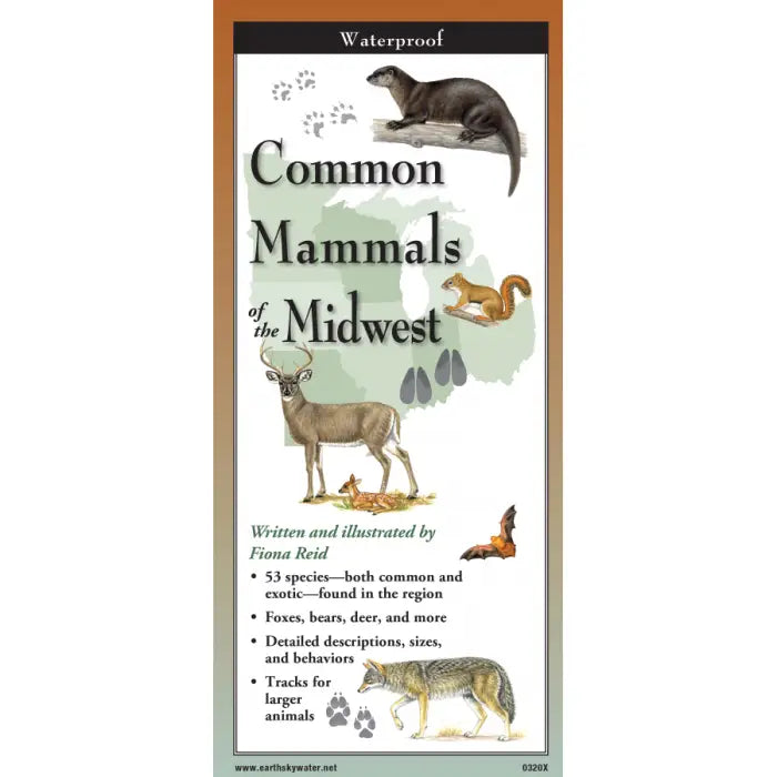 The Waterproof Guide: Common Mammals of the Midwest features a cover with illustrations of an otter, deer, bat, squirrel, fox, and raccoon, and highlights 53 species plus animal behaviors.