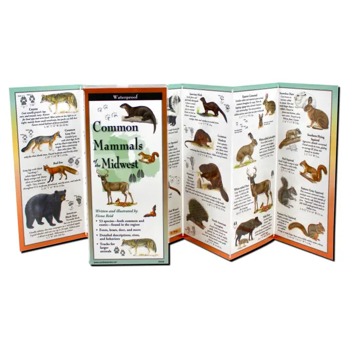 The Waterproof Guide: Common Mammals of the Midwest is a folded, illustrated reference featuring drawings and descriptions of regional mammals such as bear, fox, deer, rabbit, squirrel, and raccoon on waterproof material.