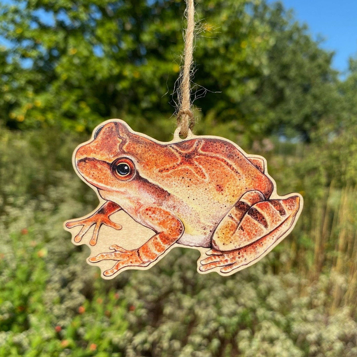 The Spring Peeper Wood Print Ornament, featuring a realistic orange and brown frog illustration on basswood plywood, hangs outdoors from a string with green foliage and trees blurred in the background.