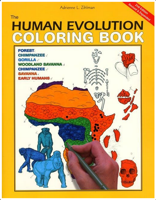 Human Evolution Coloring Book