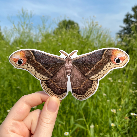 A hand displays the Promethea Silkmoth Weatherproof Vinyl Sticker, shaped like a large moth with brown and orange wings, inspired by the Promethea silkmoth, against green grass and wildflowers under a clear blue sky.
